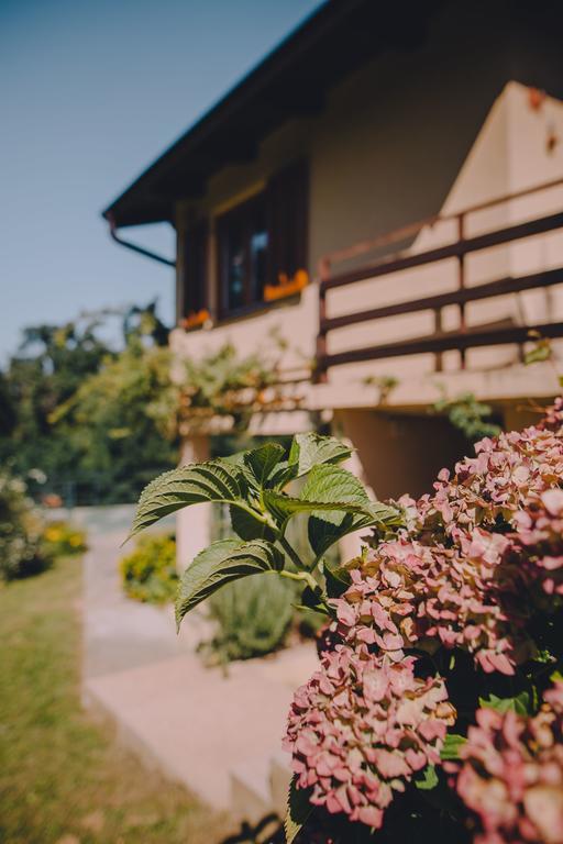 Holiday Home Castanea Praporcan Extérieur photo