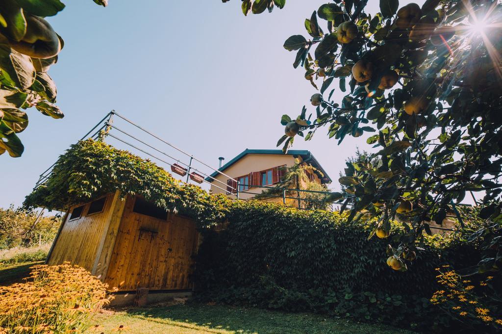 Holiday Home Castanea Praporcan Extérieur photo